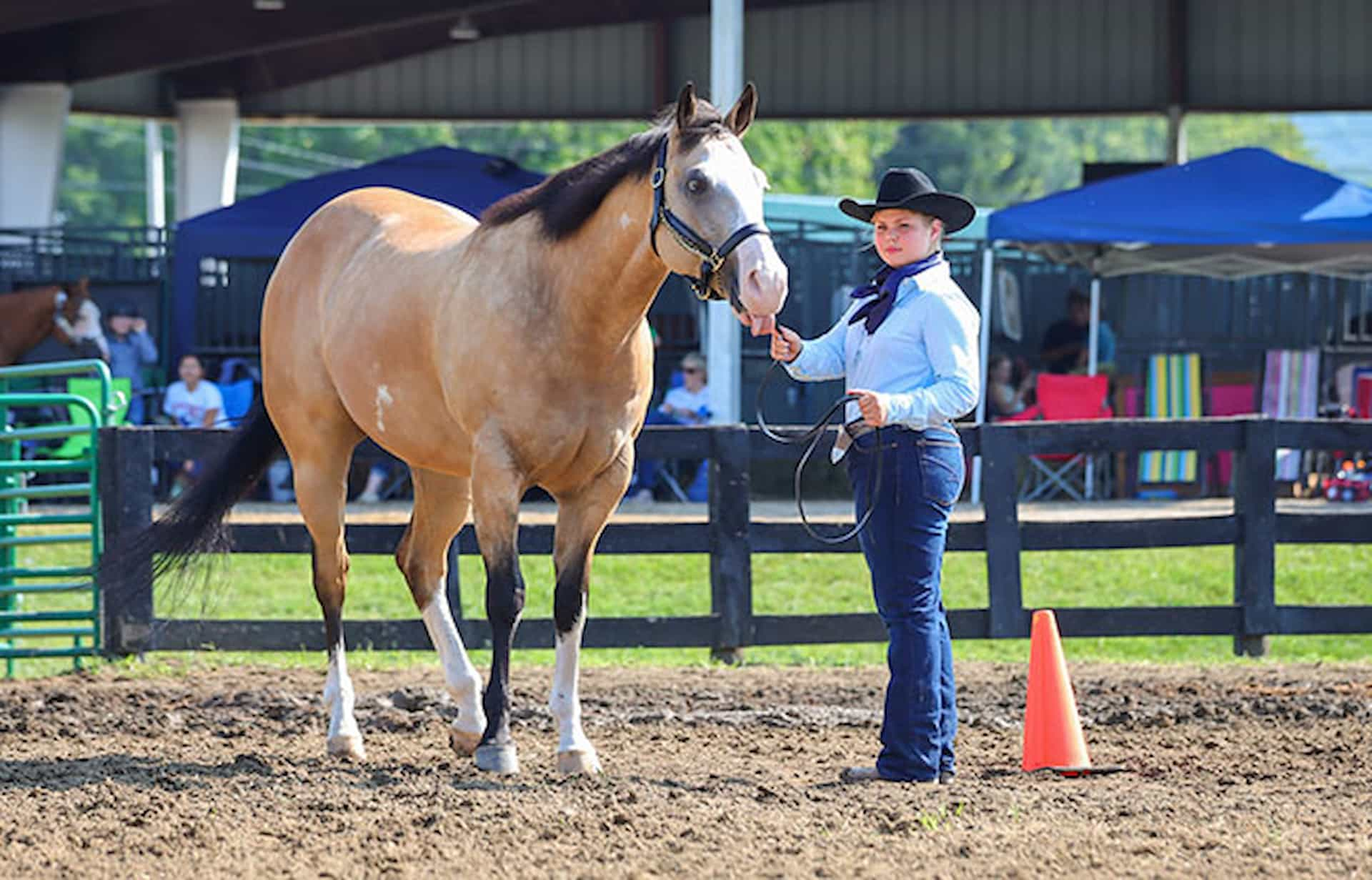 young person standing with horse