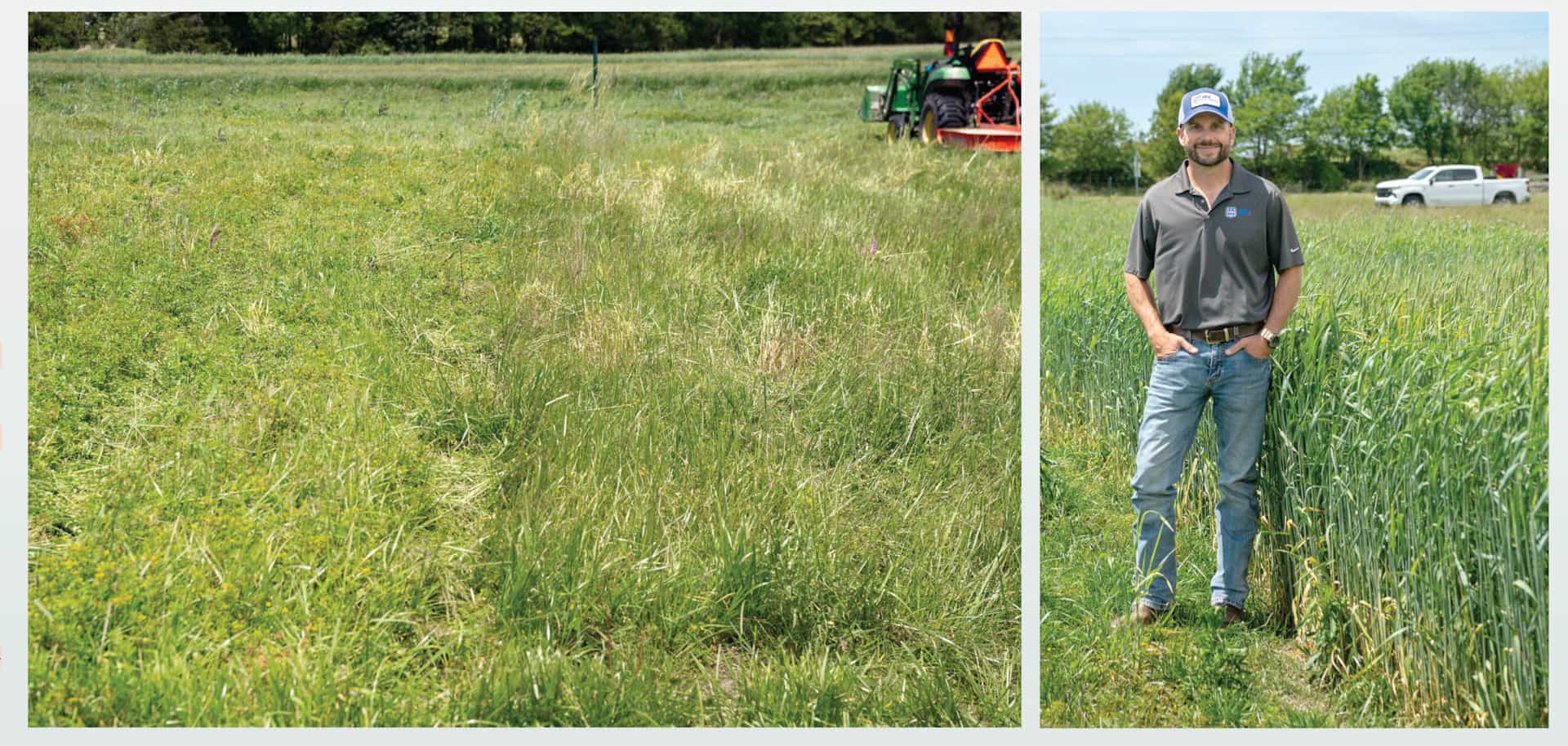 Left filed of fescue treated with Duracor. Right: Landry Jones