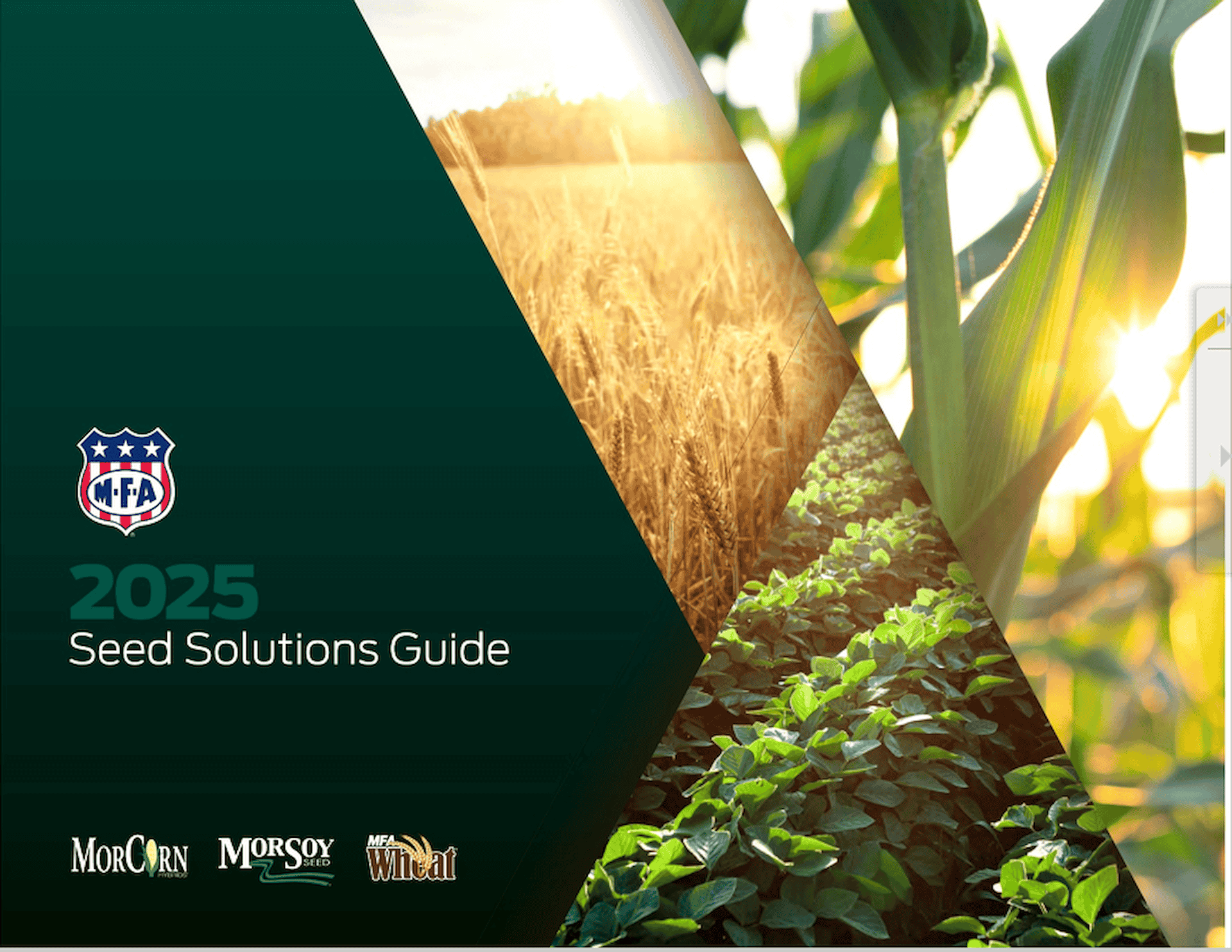 The 2025 Seed Solutions guide