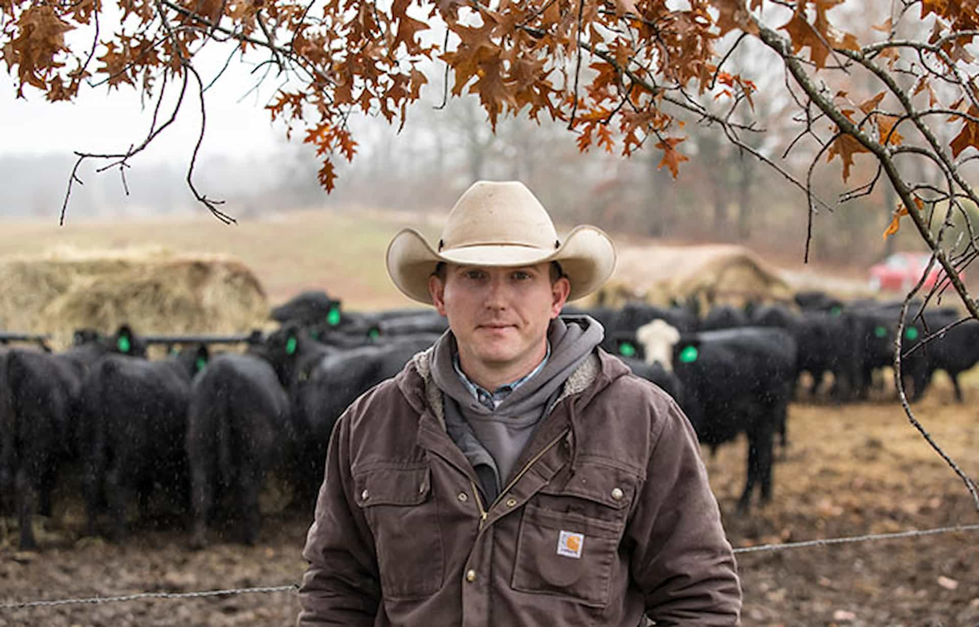 man standing on farm with animals