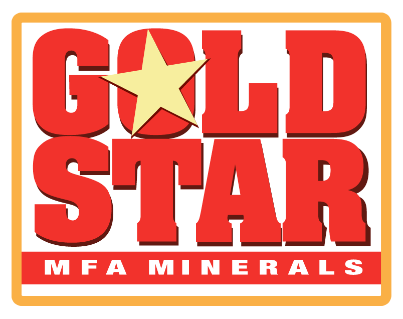 Gold-Star-Logo-Photo